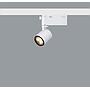 POLLUX ERCO SPOT BLANCO 10W