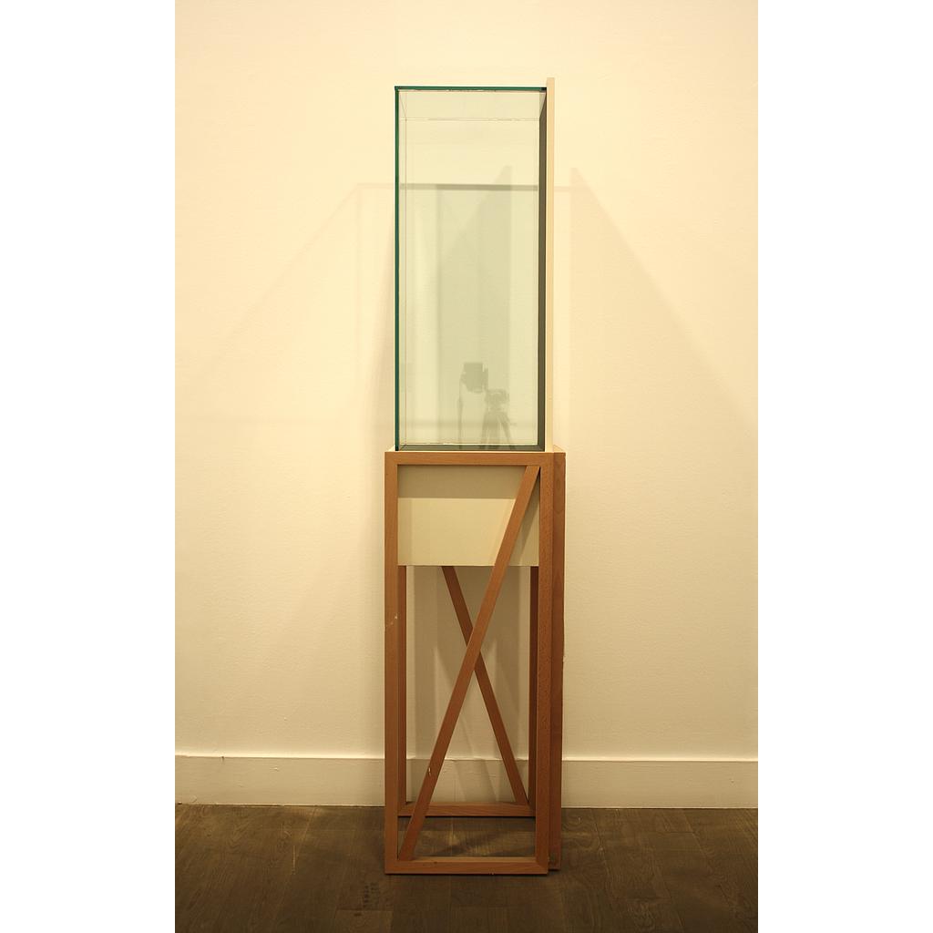 VITRINA 1808 CON URNA